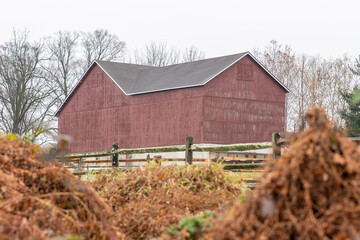 red barn in the field
