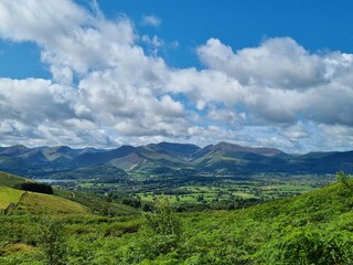 landscape in the summer