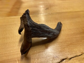 Black trumpet mushrooms background