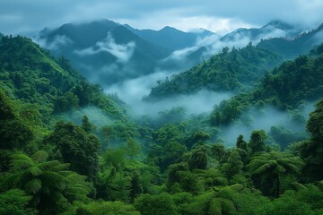Obraz premium Fog rolling over lush tropical rainforest and mountains