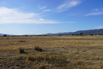 Spanish Nature