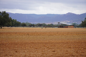Spanish Nature