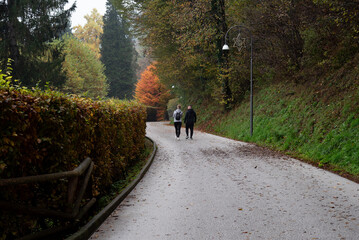 Unrecognized couple walking on a path in autumn park enjoying nature