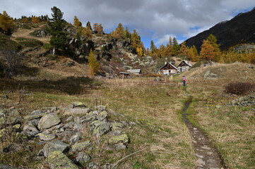 Vall&eacute;e de la Clar&eacute;e, N&eacute;vache (05)