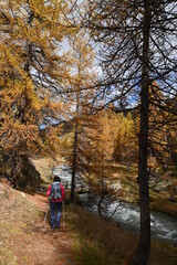 Obraz premium Vallée de la Clarée, Névache (05)