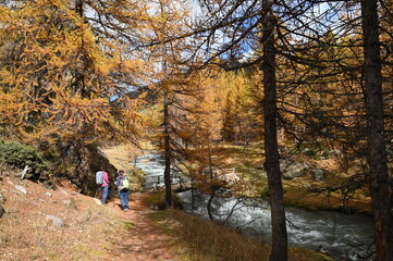 Obraz premium Vallée de la Clarée, Névache (05)