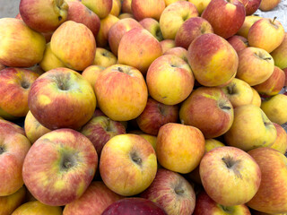 apples at the market