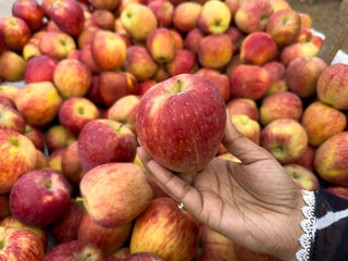apple in the hand apples in the background