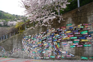 Gamcheon Culture Village