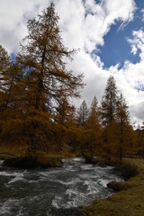 Vallée de la Clarée, Névache (05)