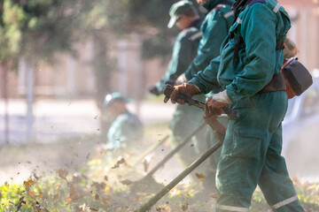 Landscape maintenance team trimming bushes during the afternoon in a public park to enhance the...