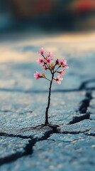 Small trees emerging from cracks in road, showcasing nature's power.