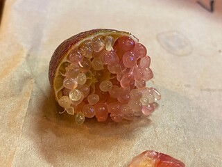 finger lime or kaffir caviar lime fruit cut in half , 