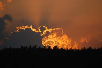 The sun hid behind a cloud. The sun bowed low to the horizon and hangs over a dark forest growing in the distance. A small cloud covered the sun, but its rays are visible in the sky.