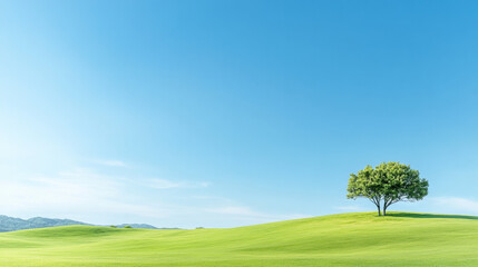 Fototapeta premium A lone tree stands gracefully on a vibrant green hillside under a clear sky