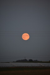 Wschodzący księżyc w pełni nad horyzontem © Piotrek