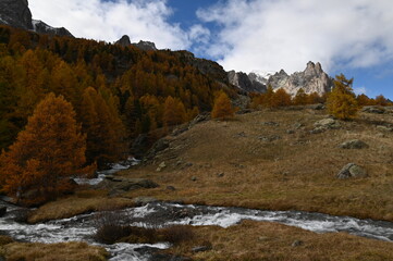 Vallée de la Clarée, Névache (05)