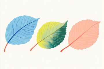 Illustration of three overlapping beech leaves showcasing the comparison of autumn leaf coloration