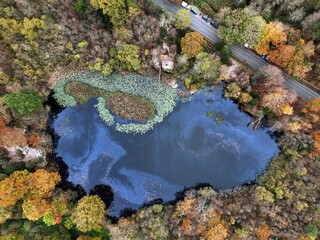 Lake Wood, Uckfield, East Sussex