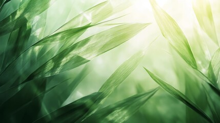 A gentle abstract background featuring soft green leaves with light filtering through, creating a serene and tranquil atmosphere
