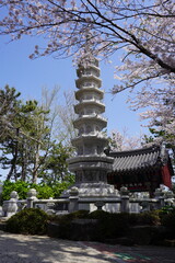 Haedong Yonggungsa Temple - Busan