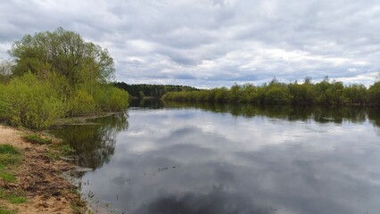 Fototapeta premium In early spring, the water in the river is high and muddy. The fast current floods the banks and the floodplain. The water reflects the sky with clouds, bushes and trees with young foliage