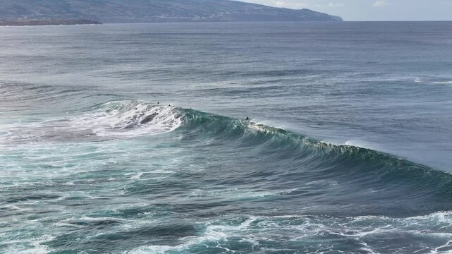 Santa Barbara beach with volcanic sand, turquoise Atlantic ocean waves and surfers surfing in Sao Miguel, Azores. Aerial 4K drone video footage of coast in Ribeira Grande town