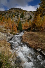 Vallée de la Clarée, Névache (05)
