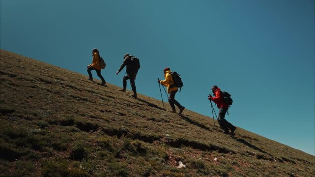 Group of active tourists with backpacks and hiking poles or hikers walks climbs uphill together against blue sky