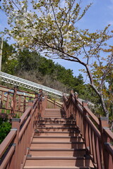 Empty Outdoor Staircase