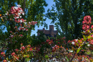 A majestic medieval castle stands atop a hill, framed by lush green trees and flowering branches in the foreground