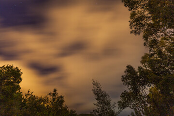 A long-exposure photograph capturing the movement of clouds illuminated by a warm, soft light at night, framed by silhouettes of tall trees