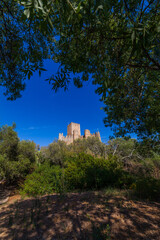 A rugged hillside with dense cactus plants and trees frames the stone walls of an ancient castle