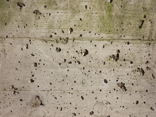 Weathered concrete wall with moss