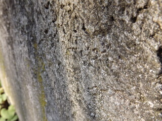 Aged concrete wall surface