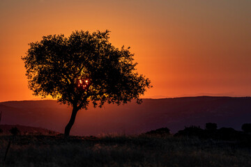a new day is born