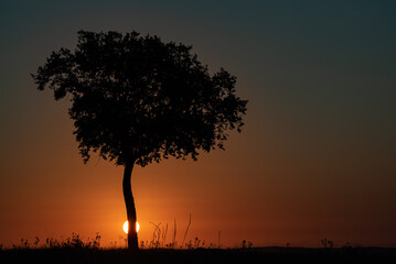 a new day is born