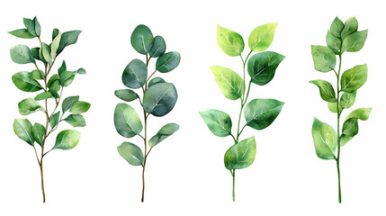 leaves isolated on white