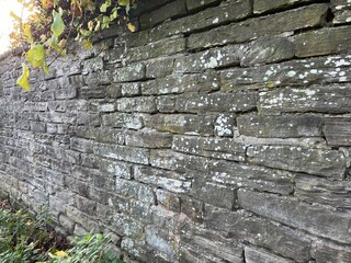 Yorkshire old stone wall with lichen and plants 