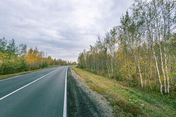 Fototapeta premium A road with trees on the side and a cloudy sky