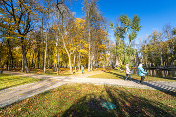 A park with a path that splits into two