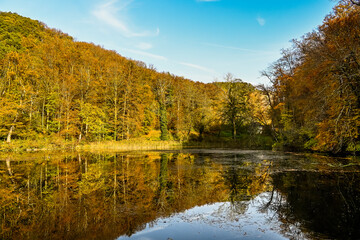 Arlesheim, Ermitage, Weiher, Seerose, See, Holzsteg, Baselland, Waldweg, Wanderweg, Spazierweg, Ausflugsort, Kraftort, Karpfen, Karpfenweiher, Herbst, Herbstfarben, Herbstlaub, Schweiz 
