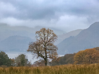Fototapeta premium Aira Force waterfalls in the Lake District National Park, England in Autumn
