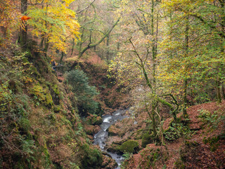 Aira Force waterfalls in the Lake District National Park, England in Autumn