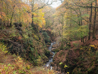 Aira Force waterfalls in the Lake District National Park, England in Autumn