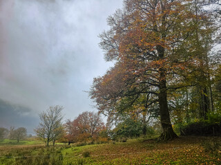 Aira Force waterfalls in the Lake District National Park, England in Autumn