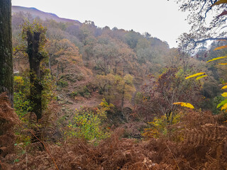 Aira Force waterfalls in the Lake District National Park, England in Autumn
