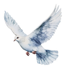 Obraz premium PNG A white dove soaring gracefully in a clear sky