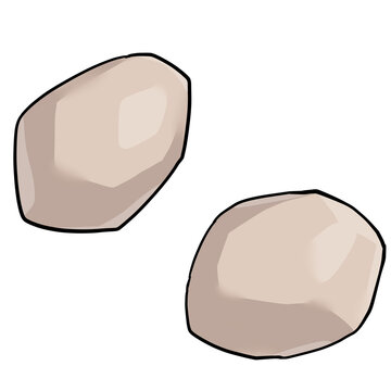 皮をむかれたサトイモのイラスト