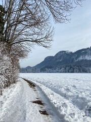 Enchanting Winter Wonderland: Snow-Covered Castles and Christmas Lights